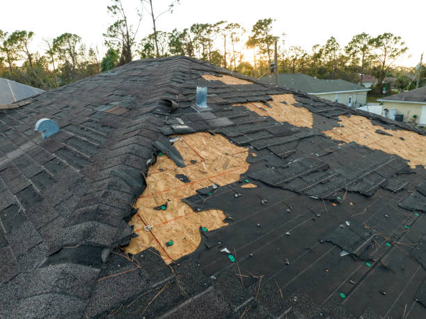 Best Roof Coating and Sealing  in Gloucester City, NJ